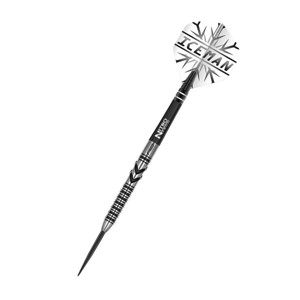RED DRAGON ŠIPKY STEEL GERWYN PRICE - THUNDERBOLT 