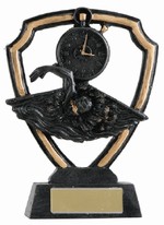 Trofej plavání RF0105