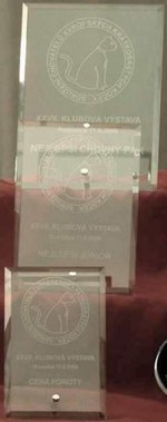Skleněná plaketa Sabe PS 70.1