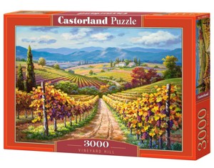 Puzzle 3000 - CASTORLAND Vinice
