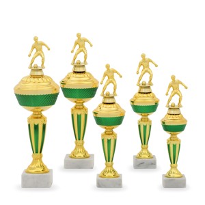 Pohár fotbal PS 22514.3