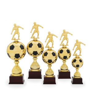 Pohár fotbal PS 22526.4