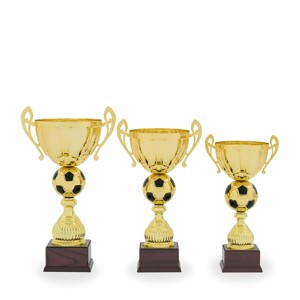 Pohár fotbal PS 22528.1