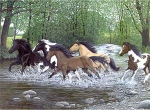 Malování podle čísel 30x40 cm- Běžící koně vodou