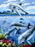 Malování podle čísel - Junior 22x30cm Delfíni